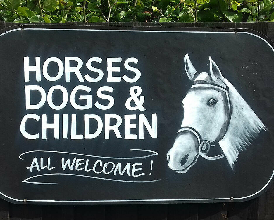 2019 Horses dogs and children welcome